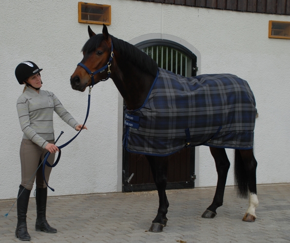 CELTIC STABLE LIGHT - BLAUW GERUIT (637) CELTIC STABLE LIGHT - BLAUW GERUIT (637)